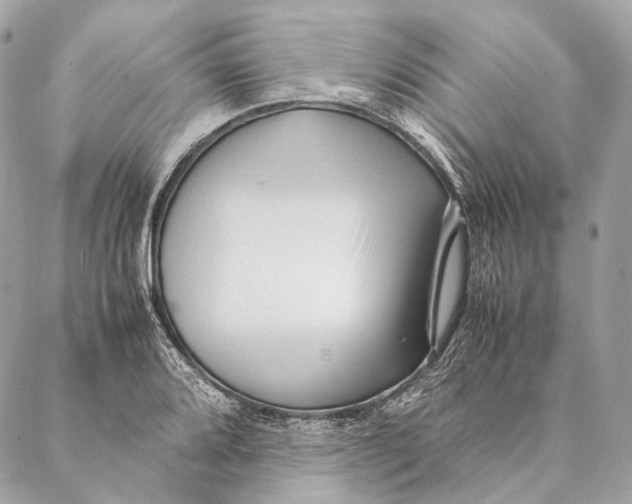 X0000087391080200705111755