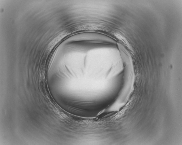 X0000087391081200705111755