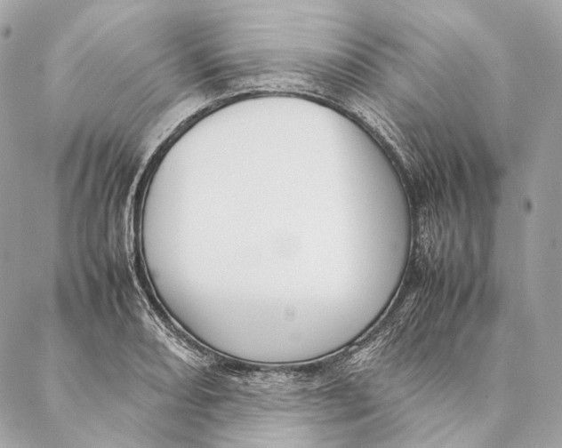 X0000087391082200705111754