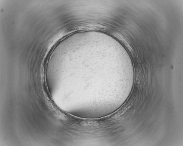 X0000087391083200705111754