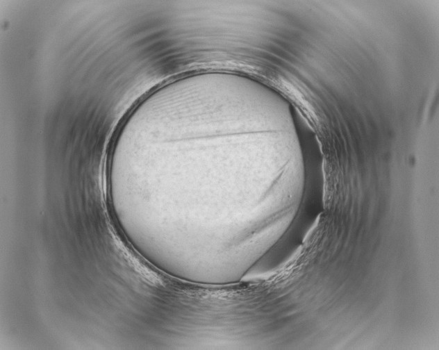 X0000087391084200705111754