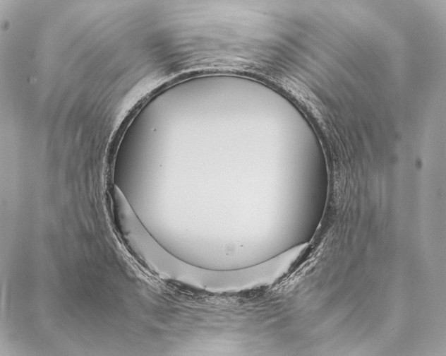 X0000087391085200705111754