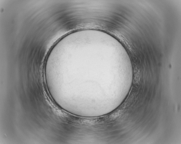 X0000087391086200705111754