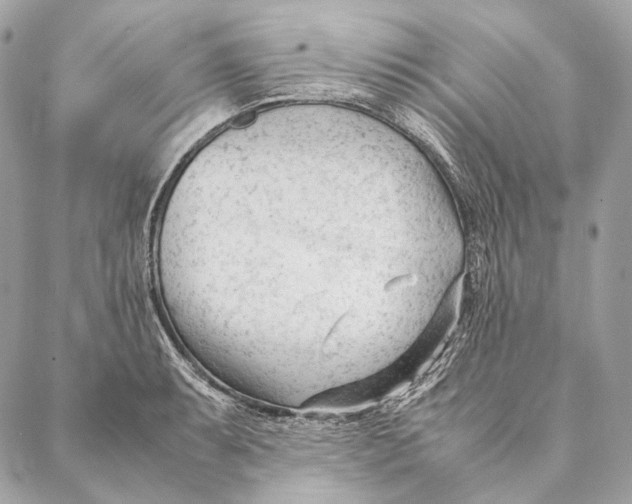 X0000087391087200705111754