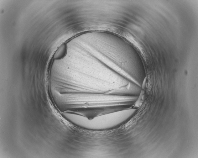 X0000087391088200705111754