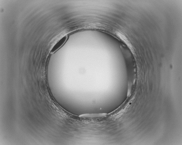 X0000087391089200705111754