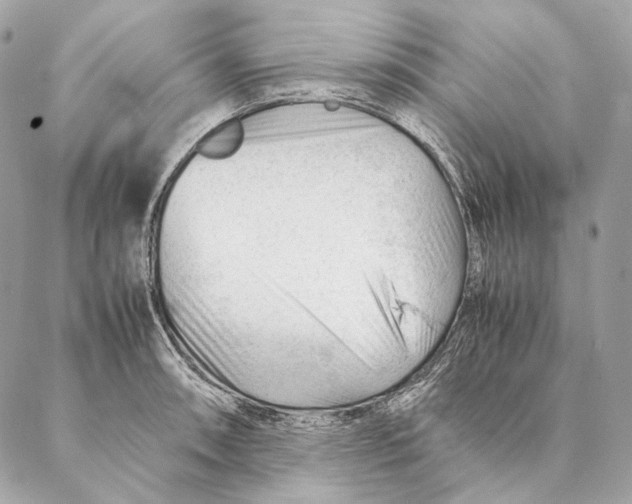 X0000087391090200705111754