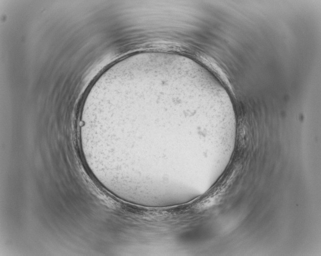 X0000087391091200705111754