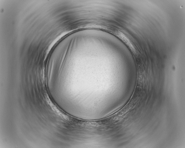 X0000087391092200705111754