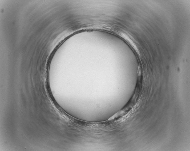 X0000087391093200705111754