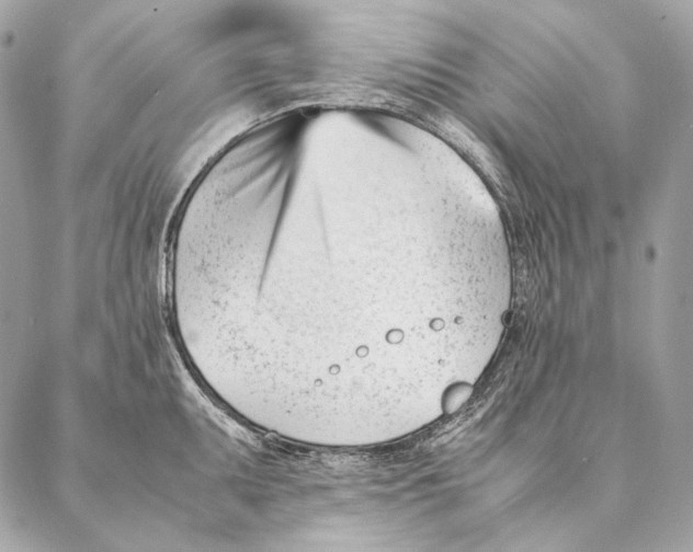 X0000087391095200705111754