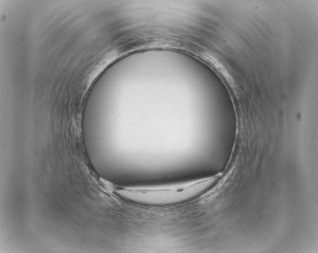 X0000087391097200705111754