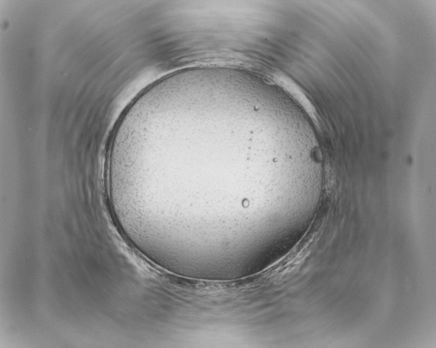 X0000087391099200705111754