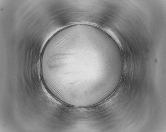 X0000087391100200705111754