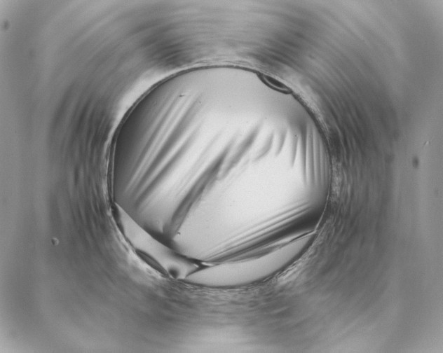 X0000087391102200705111754