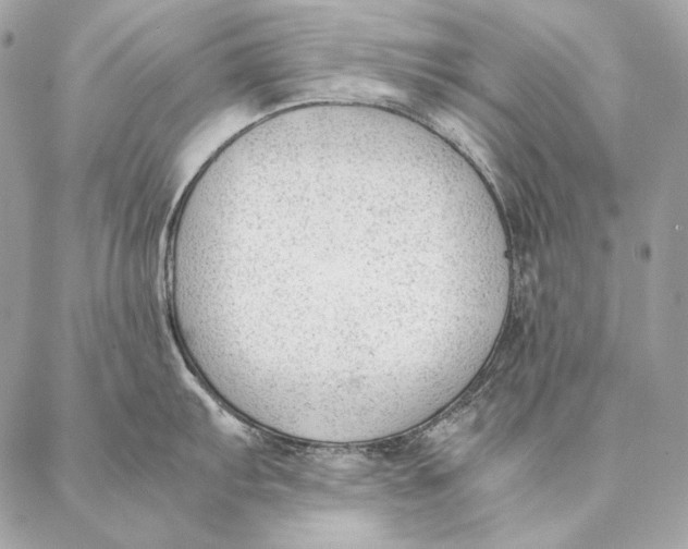 X0000087391103200705111754