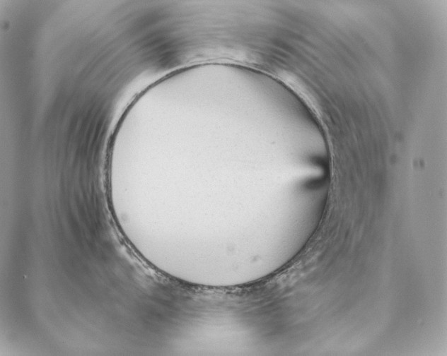 X0000087391104200705111754