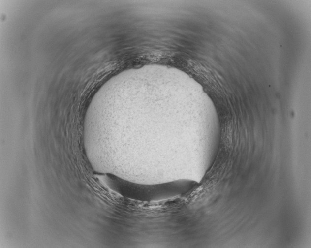 X0000087391105200705111753