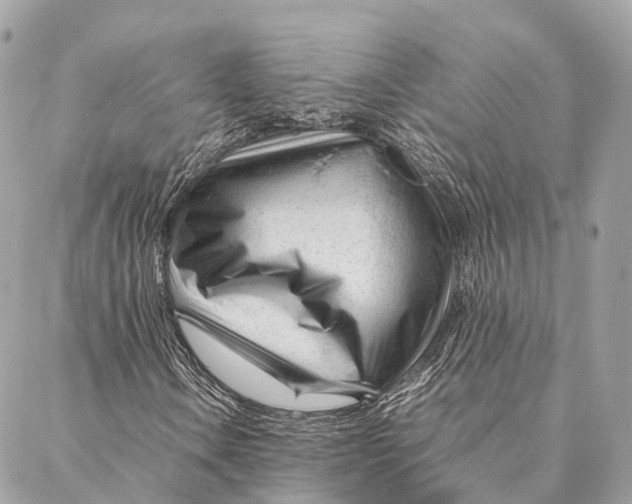 X0000087391106200705111753