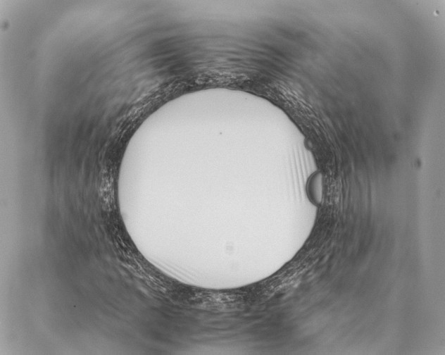 X0000087391109200705111753