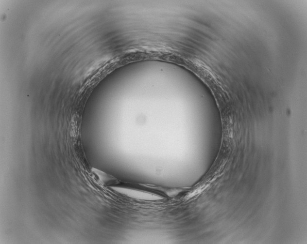 X0000087391110200705111753