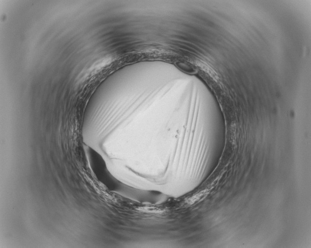 X0000087391111200705111753