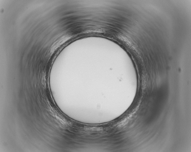 X0000087391113200705111753