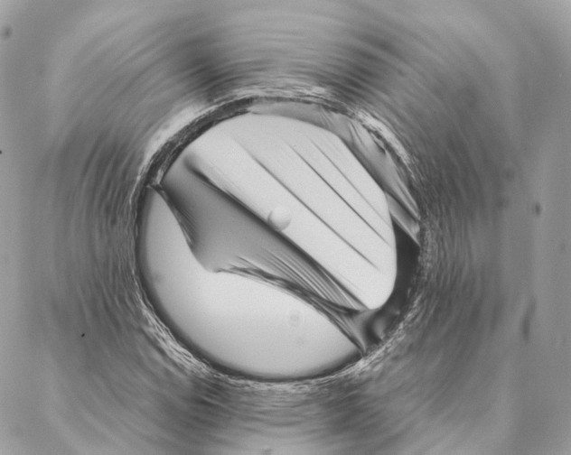 X0000087391114200705111753