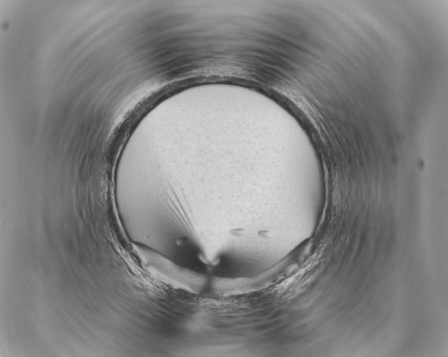 X0000087391115200705111754