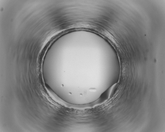 X0000087391116200705111754