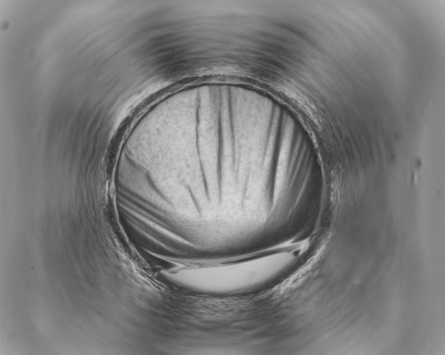 X0000087391117200705111754