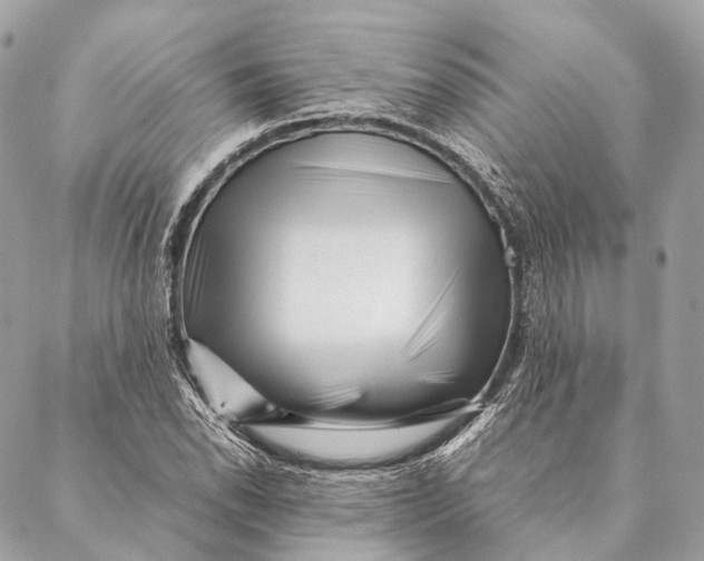 X0000087391118200705111754