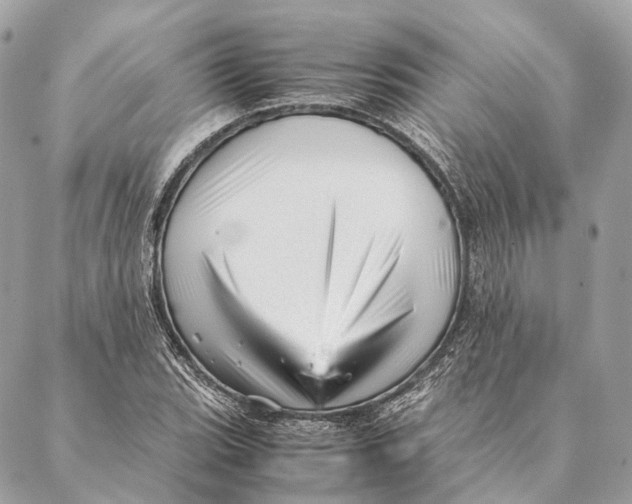 X0000087391119200705111754