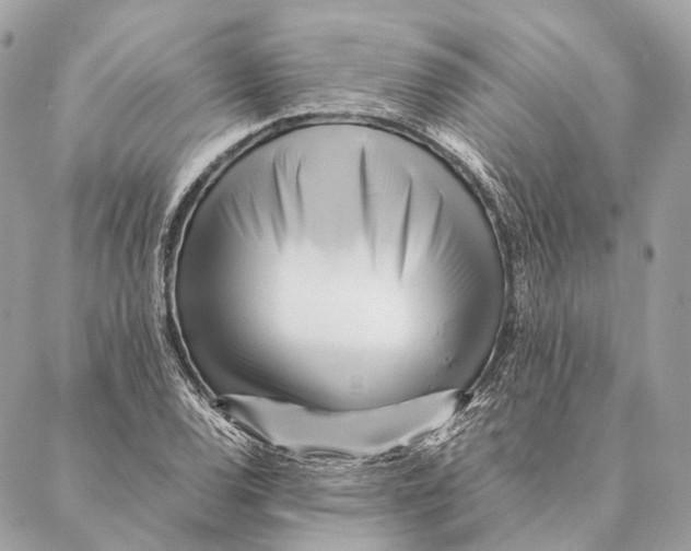 X0000087391120200705111754