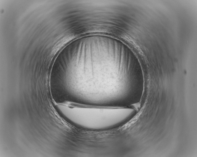 X0000087391121200705111754