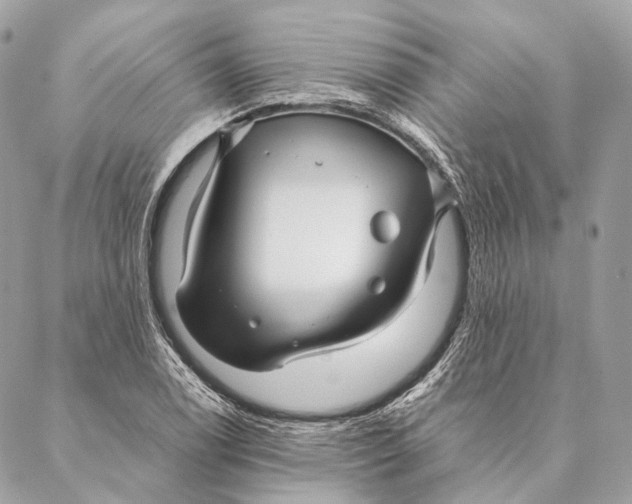 X0000087391122200705111754