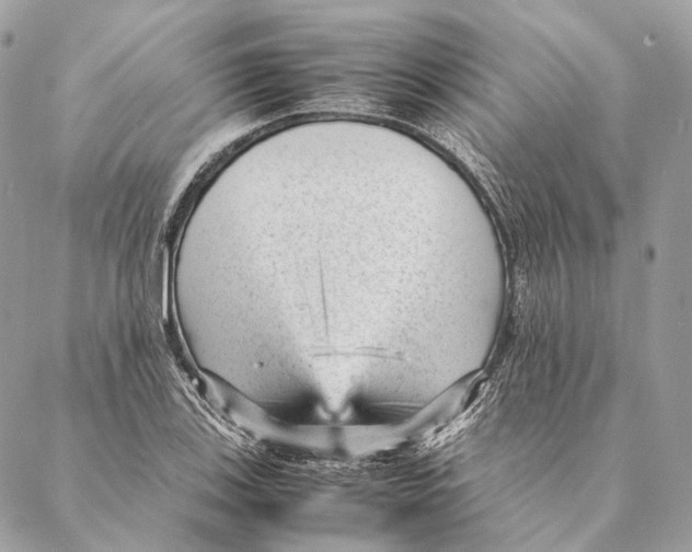 X0000087391123200705111754