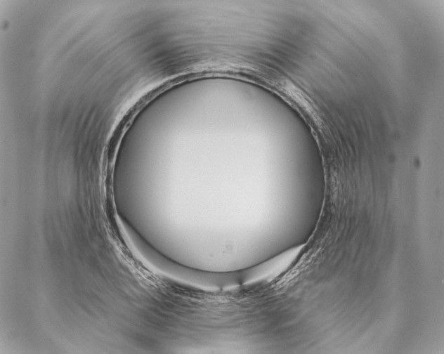 X0000087391124200705111754