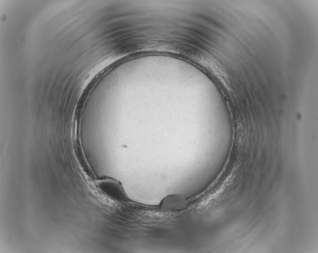 X0000087391125200705111754