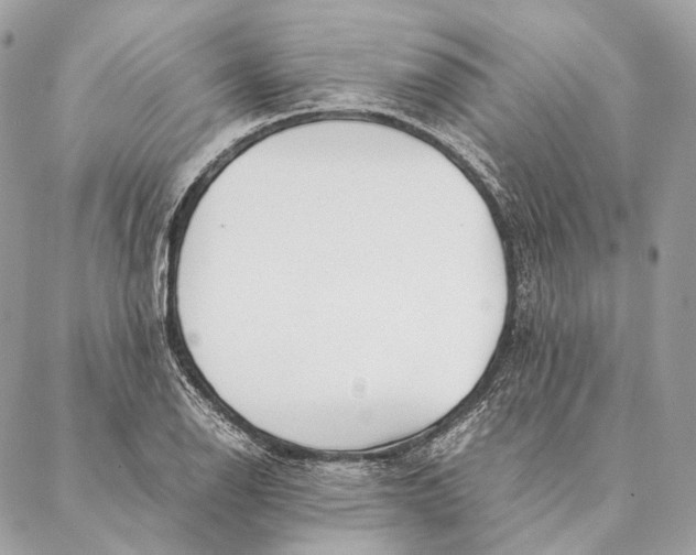 X0000087391126200705111754