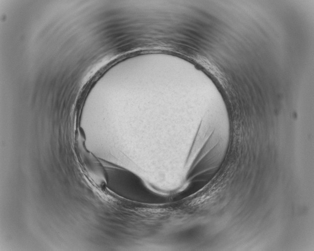 X0000087391127200705111754