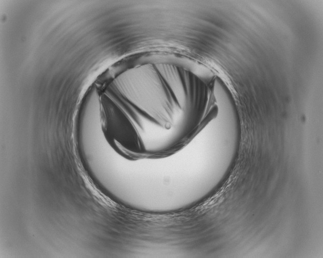 X0000087391128200705111754