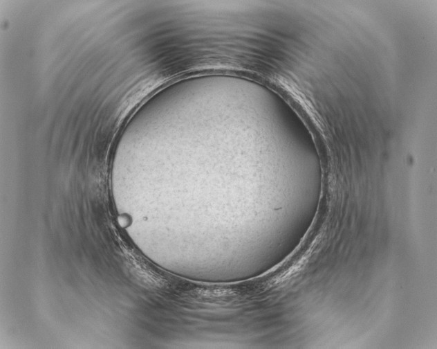 X0000087391129200705111754