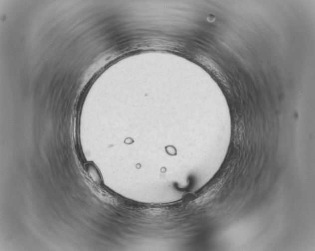 X0000087391130200705111754