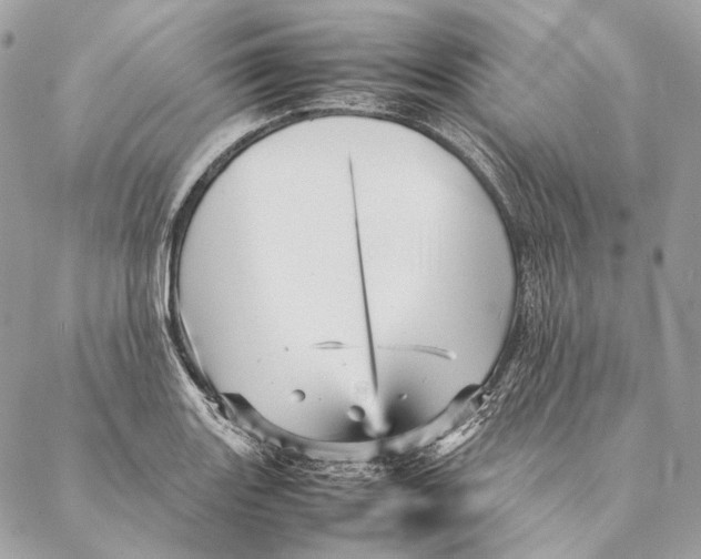 X0000087391131200705111754