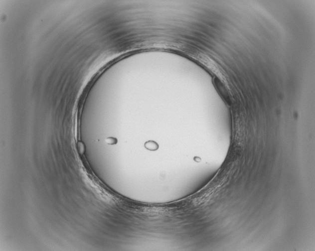 X0000087391132200705111754