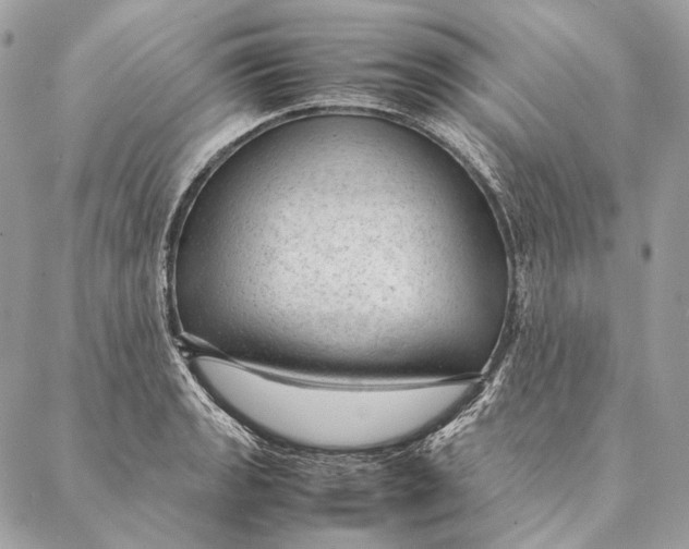 X0000087391133200705111754