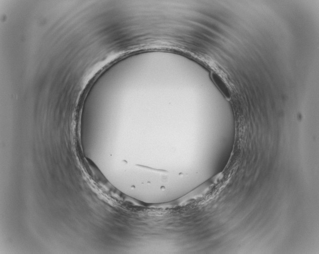 X0000087391134200705111754