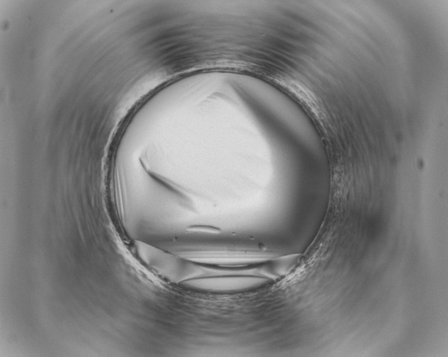 X0000087391135200705111754