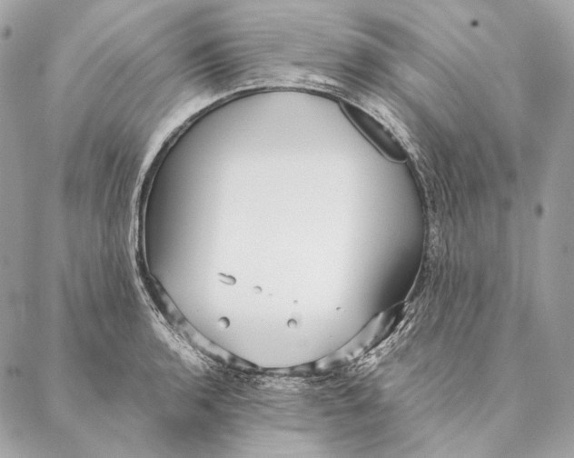 X0000087391136200705111754